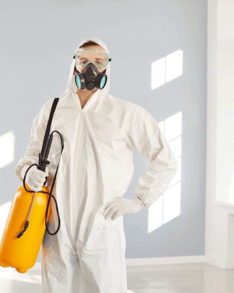 Technicien dératisation